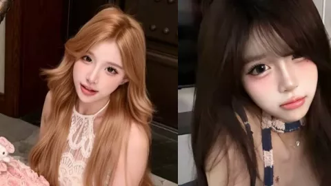 无敌橙子